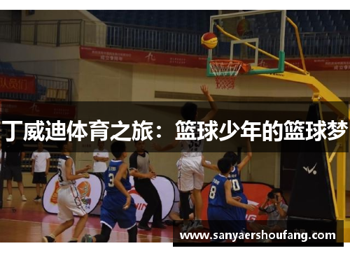丁威迪体育之旅：篮球少年的篮球梦